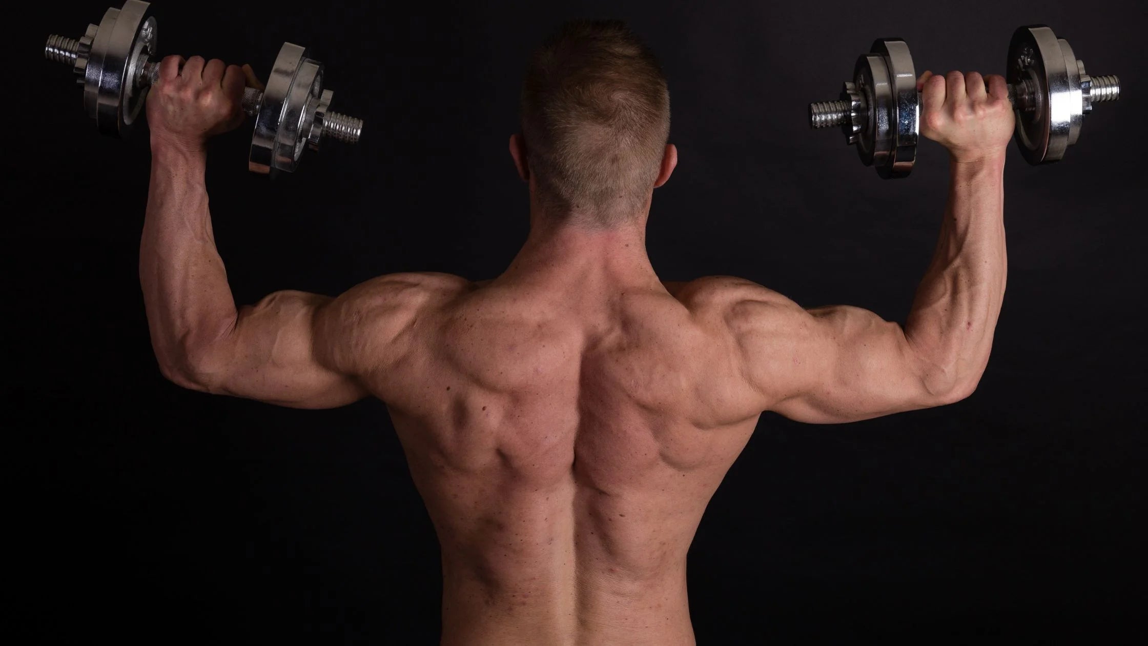 16 Back and Biceps Dumbbell Workouts from Novice to Pro WorkoutHealthy LLC