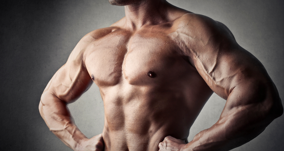 The Best Chest Workouts for Definition and Mass