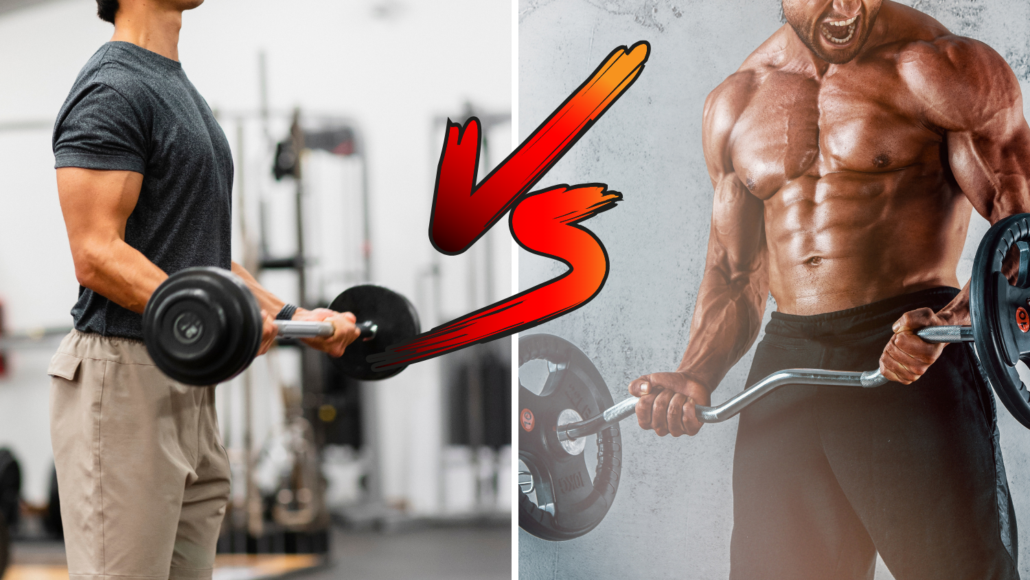 Which Should I Use EZ Curl Bar or Straight Bar WorkoutHealthy LLC