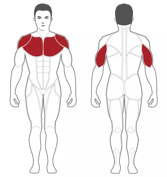 Diagram of a human figure with muscles in red for strength training insights. The front shows chest and shoulder muscles; the back features shoulder and outer arm muscles, ideal for a Steelflex Olympic Decline Bench (NODB) workout. Non-focused muscles are outlined in gray.