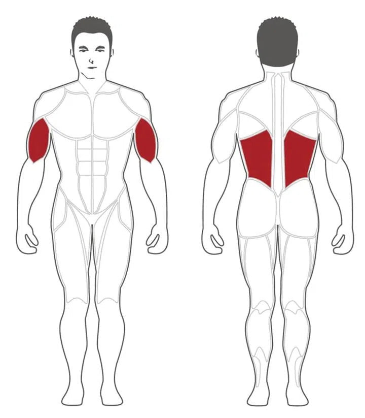 A muscular figure diagram highlights triceps in red on the front view and latissimus dorsi in red on the rear, ideal for gym users to identify target muscles when using Steelflexs SteelFlex Lateral Pull Down Machine (PLLA) in commercial gyms.