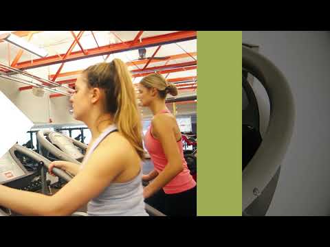 Jacobs Ladder Stairway Stepper GTL
