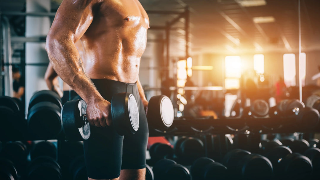 Dumbbell Power Clean: Step-by-Step Guide for Beginners