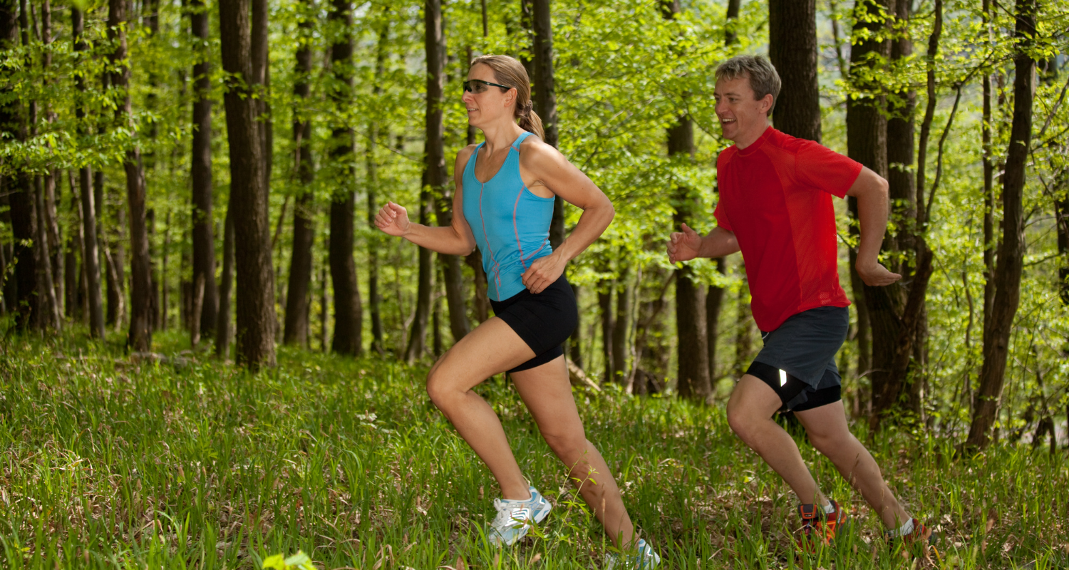 Beginner endurance training, the subject of this guide to building stamina and cardiovascular fitness.