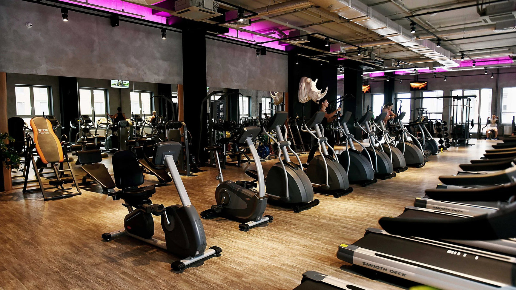 A portion of a big gym showing rows of benches, ellipticals, and treadmills. 
