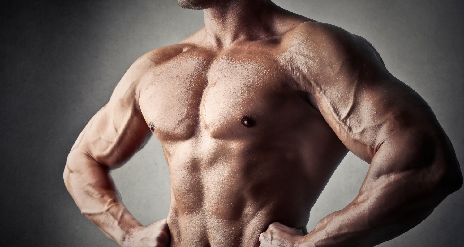 Best chest workout guide covering flat, incline, and decline pressing plus dumbbell flyes for chest mass and definition