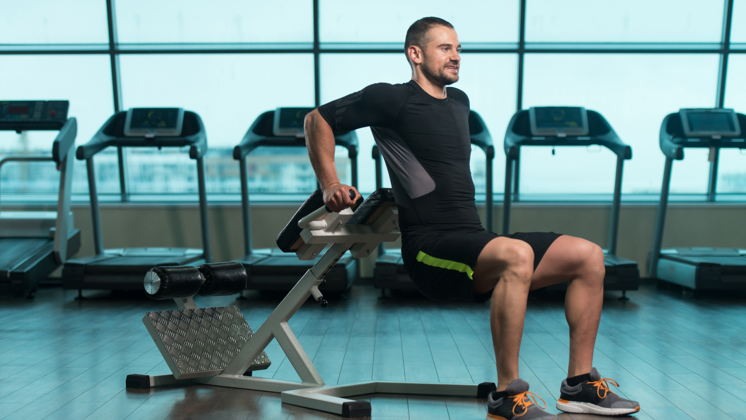 A Roman chair and a vertical knee raise machine, the two pieces of equipment covered in this exercise guide.