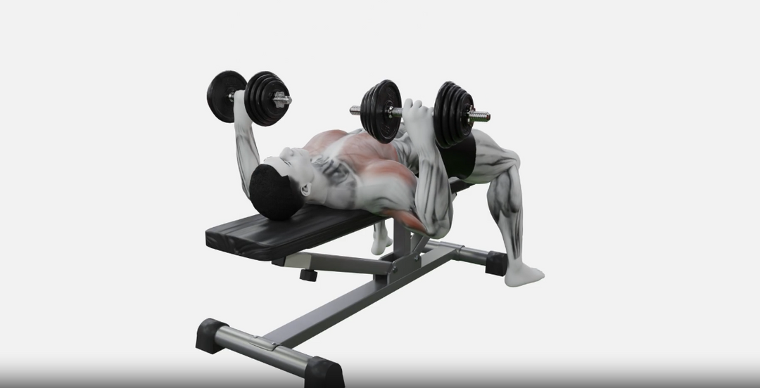 Mastering the Dumbbell Chest Press | A Guide to Variations and Progressions