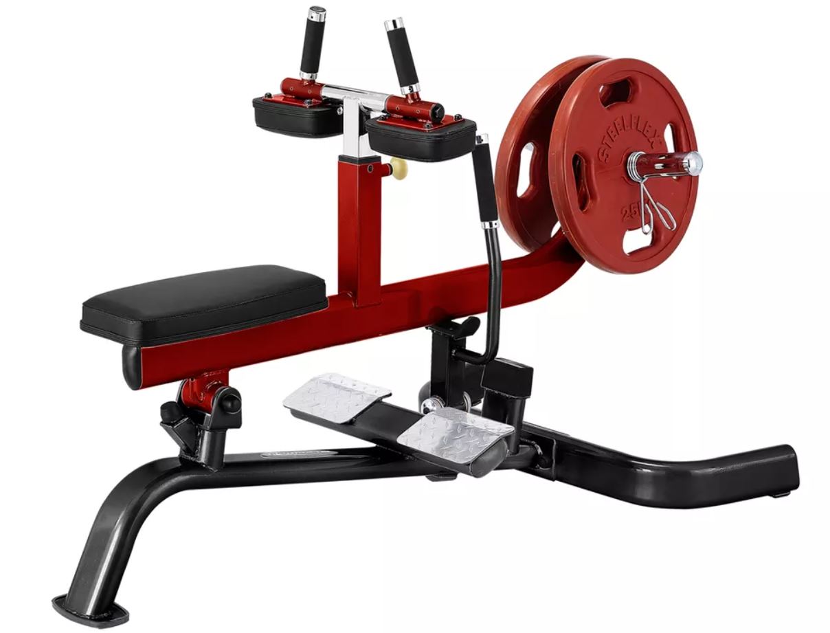 Commercial Calf Raise Workout Machines w/ 300lb+ Weights ...