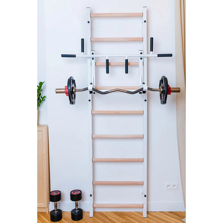 The BenchK Home Wall Bars w/ Flex Pull-Up Bar (731) by BenchK features a wall-mounted exercise ladder, an adjustable barbell, and two dumbbells on the floor next to a cabinet with a plant. All items adhere to European safety standards.