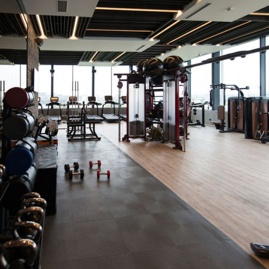 Modern gym with large windows, exercise machines, free weights, and racks of dumbbells. A cable machine is central, surrounded by various equipment. The space is well-lit with natural light coming through the windows.