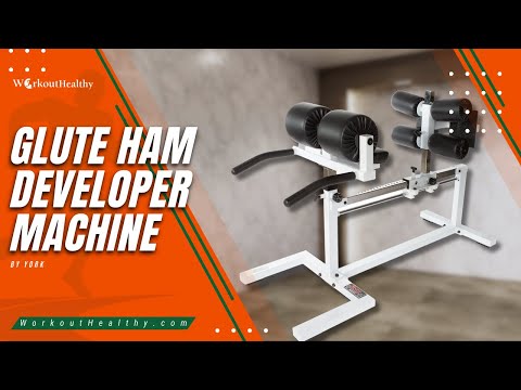 York STS Glute Ham Developer Machine